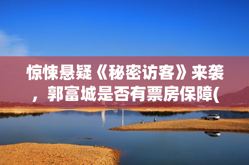 惊悚悬疑《秘密访客》来袭，郭富城是否有票房保障(《秘密》百度百科)