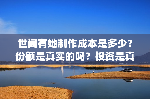 世间有她制作成本是多少？份额是真实的吗？投资是真的假的？(世间有她题材)