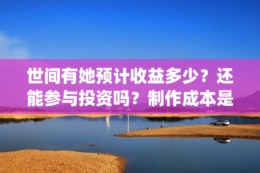 世间有她预计收益多少？还能参与投资吗？制作成本是多少？(世间有她剧情)