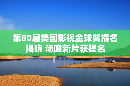 第80届美国影视金球奖提名揭晓 汤唯新片获提名