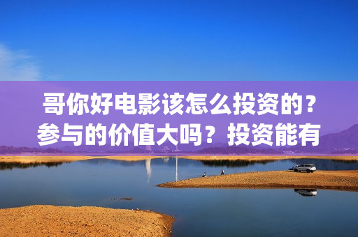 哥你好电影该怎么投资的？参与的价值大吗？投资能有几倍的收益(鹩哥你好录音教材)