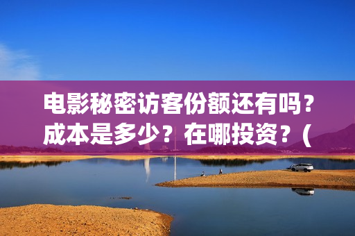 电影秘密访客份额还有吗？成本是多少？在哪投资？(电影秘密访客深度解析)
