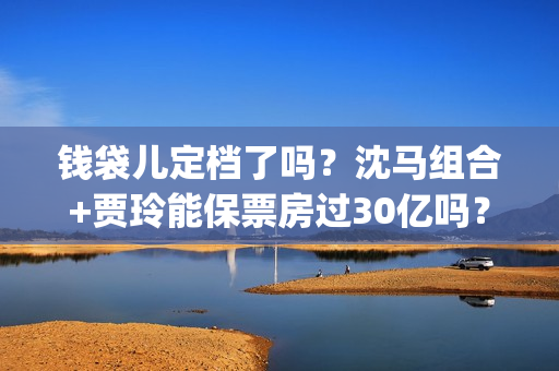 钱袋儿定档了吗？沈马组合+贾玲能保票房过30亿吗？投资门槛多少？(钱袋子app是什么)