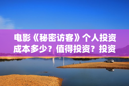 电影《秘密访客》个人投资成本多少？值得投资？投资分红多少？(秘密访客完整剧情)