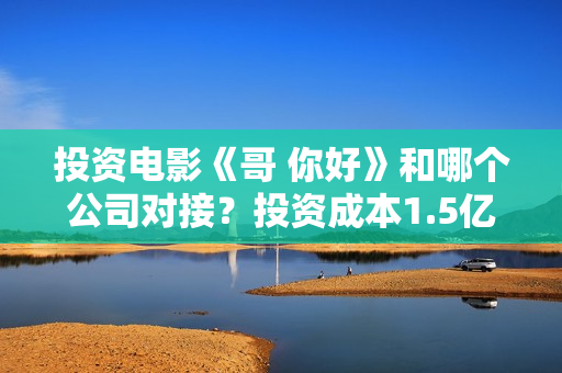 投资电影《哥 你好》和哪个公司对接？投资成本1.5亿值得参与吗？