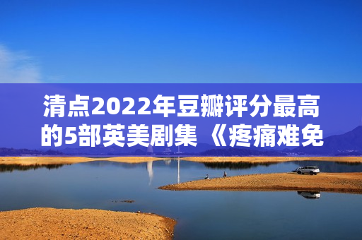 清点2022年豆瓣评分最高的5部英美剧集 《疼痛难免》评分最高