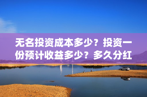 无名投资成本多少？投资一份预计收益多少？多久分红？(无名创投)