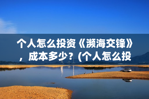 个人怎么投资《濒海交锋》，成本多少？(个人怎么投资铜)