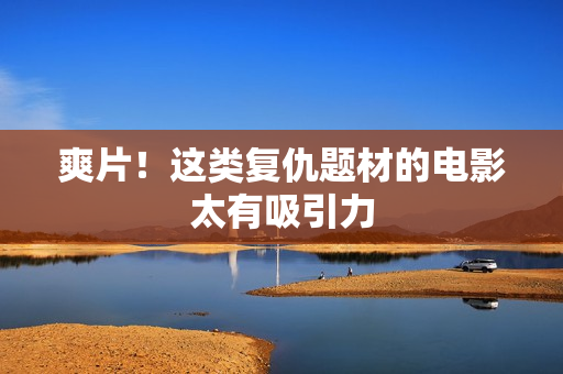 爽片！这类复仇题材的电影太有吸引力