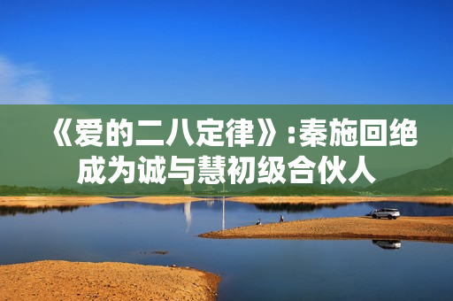 《爱的二八定律》:秦施回绝成为诚与慧初级合伙人