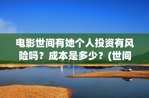 电影世间有她个人投资有风险吗？成本是多少？(世间有她电影宣发)