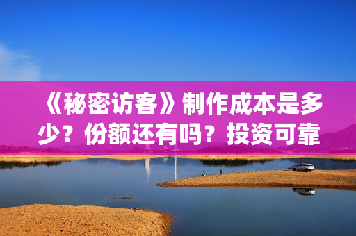 《秘密访客》制作成本是多少？份额还有吗？投资可靠吗？((秘密访客))
