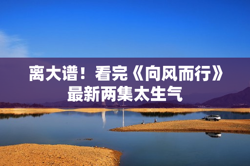 离大谱!看完《向风而行》最新两集太生气 离大谱!看完《向风而行》最新两集太生气