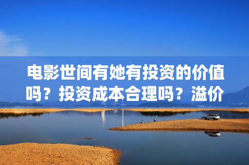 电影世间有她有投资的价值吗？投资成本合理吗？溢价了吗？(电影 世间有她)