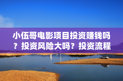 小伍哥电影项目投资赚钱吗？投资风险大吗？投资流程是什么？(小伍哥在线观看)