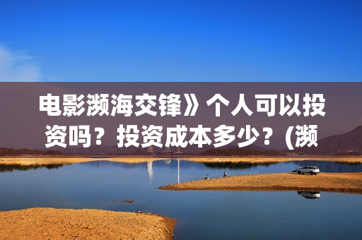 电影濒海交锋》个人可以投资吗？投资成本多少？(濒海交锋电影怎么样)