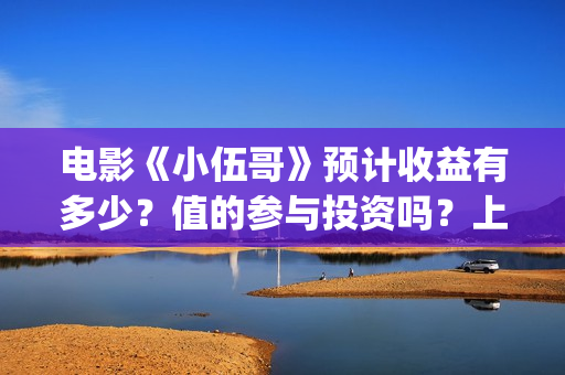 电影《小伍哥》预计收益有多少？值的参与投资吗？上映时间是什么时候/(电影《小伍哥》免费观看)