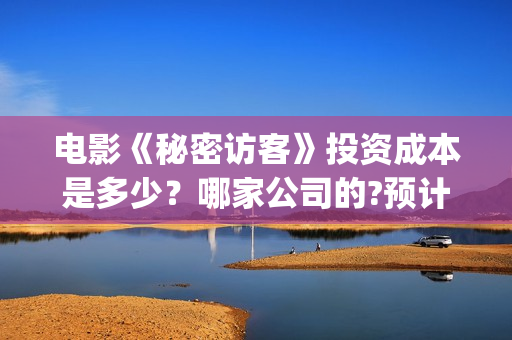 电影《秘密访客》投资成本是多少？哪家公司的?预计收益是多少？(秘密访客完整剧情)