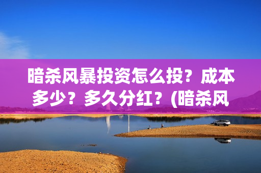 暗杀风暴投资怎么投？成本多少？多久分红？(暗杀风暴演员)