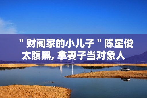 ＂财阀家的小儿子＂陈星俊太腹黑, 拿妻子当对象人