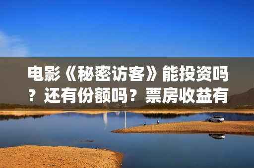 电影《秘密访客》能投资吗？还有份额吗？票房收益有保障吗？(电影秘密访客故事讲的是什么)