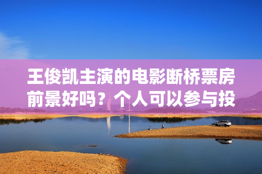 王俊凯主演的电影断桥票房前景好吗？个人可以参与投资认购吗？(王俊凯主演电影累计票房破20亿)