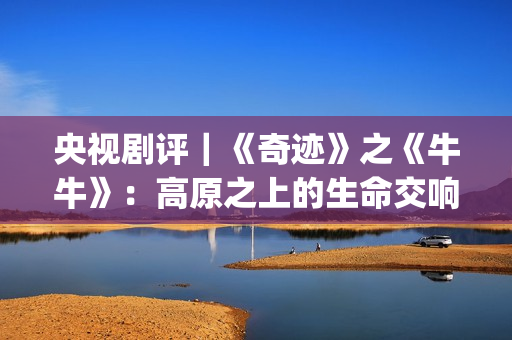 央视剧评｜《奇迹》之《牛牛》：高原之上的生命交响(电影奇绩)