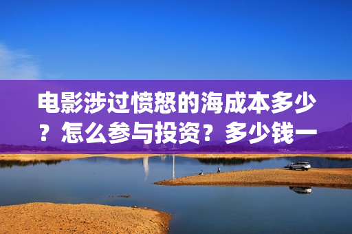 电影涉过愤怒的海成本多少？怎么参与投资？多少钱一份？(电影涉过愤怒的海故事原型)