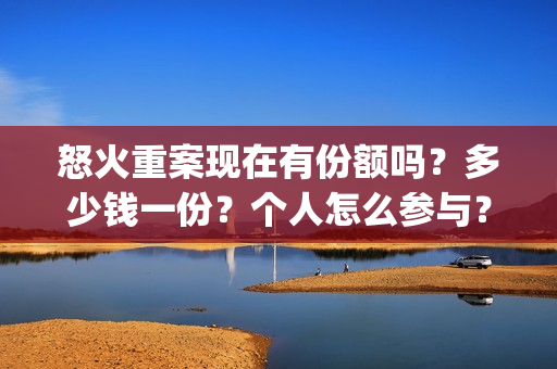 怒火重案现在有份额吗？多少钱一份？个人怎么参与？(怒火重案有没有原型)