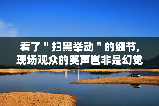 看了"扫黑举动"的细节,现场观众的笑声岂非是幻觉 看了"扫黑举动"的细节,现场观众的笑声岂非是幻觉