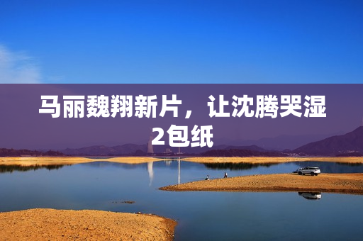 马丽魏翔新片，让沈腾哭湿2包纸