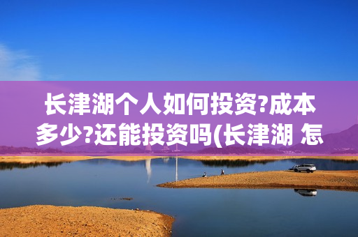 长津湖个人如何投资?成本多少?还能投资吗(长津湖 怎么样)