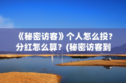《秘密访客》个人怎么投？分红怎么算？(秘密访客到底演了个啥)