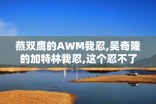 燕双鹰的AWM我忍,吴奇隆的加特林我忍,这个忍不了