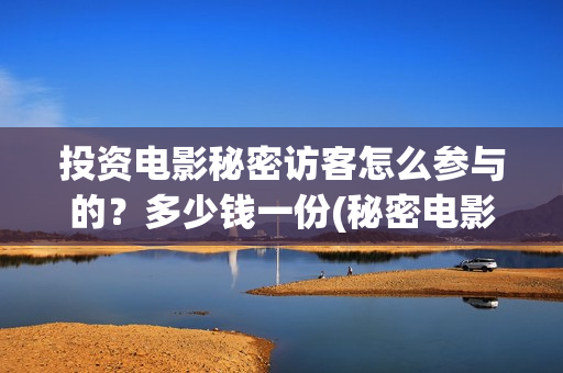 投资电影秘密访客怎么参与的？多少钱一份(秘密电影原著)
