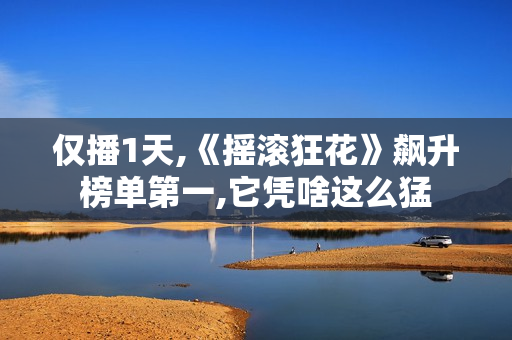 仅播1天,《摇滚狂花》飙升榜单第一,它凭啥这么猛