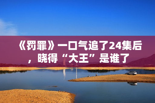 《罚罪》一口气追了24集后，晓得“大王”是谁了