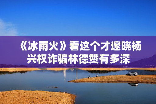 《冰雨火》看这个才邃晓杨兴权诈骗林德赞有多深