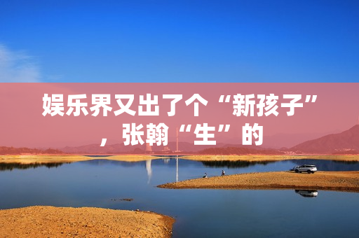 娱乐界又出了个“新孩子”，张翰“生”的