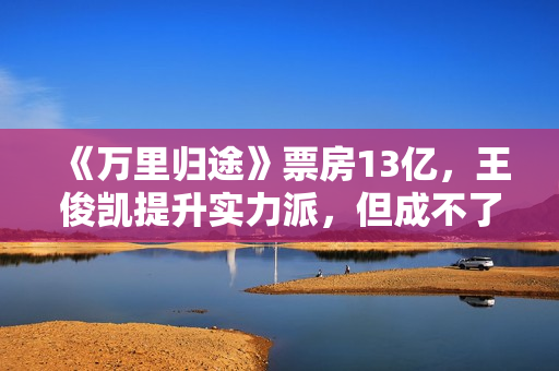 《万里归途》票房13亿，王俊凯提升实力派，但成不了下个易烊千玺