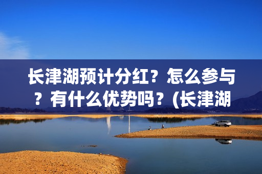 长津湖预计分红？怎么参与？有什么优势吗？(长津湖后期分红大概)