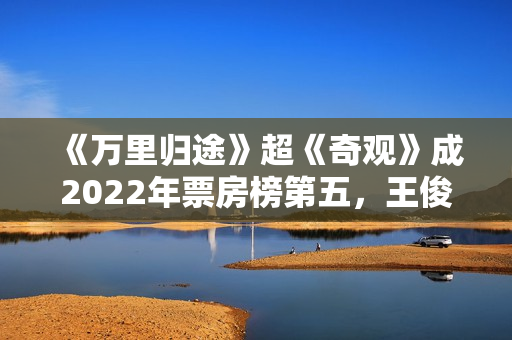 《万里归途》超《奇观》成2022年票房榜第五，王俊凯不输易烊千玺