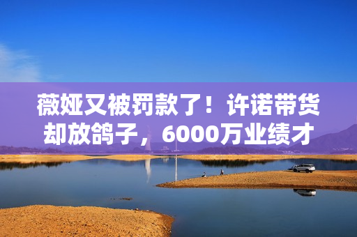 薇娅又被罚款了！许诺带货却放鸽子，6000万业绩才做了223万