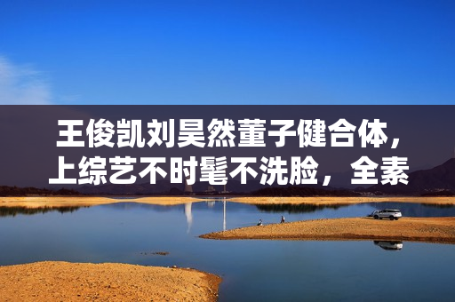王俊凯刘昊然董子健合体，上综艺不时髦不洗脸，全素颜地气又搞笑