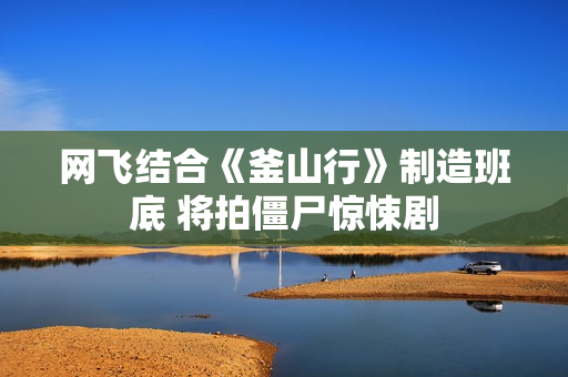 网飞结合《釜山行》制造班底 将拍僵尸惊悚剧