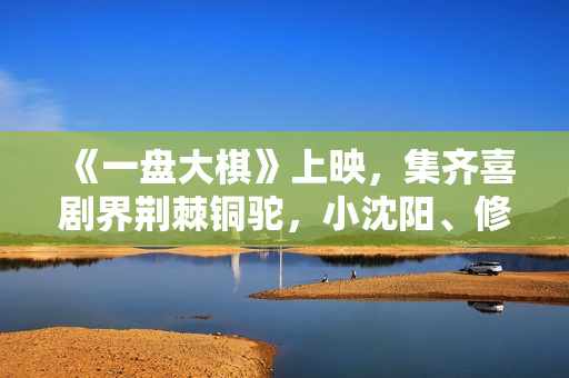 《一盘大棋》上映，集齐喜剧界荆棘铜驼，小沈阳、修睿演郭涛儿子