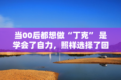 当00后都想做“丁克” 是学会了自力，照样选择了回避？