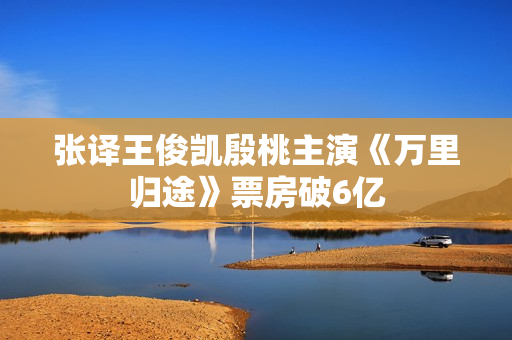张译王俊凯殷桃主演《万里归途》票房破6亿