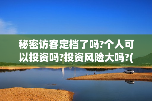 秘密访客定档了吗?个人可以投资吗?投资风险大吗?(秘密访客定档了吗)