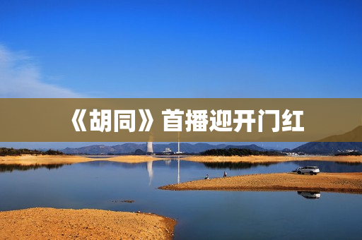 《胡同》首播迎开门红